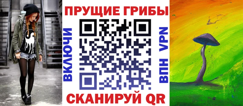 Галлюциногенные грибы Psilocybine cubensis  Салехард 